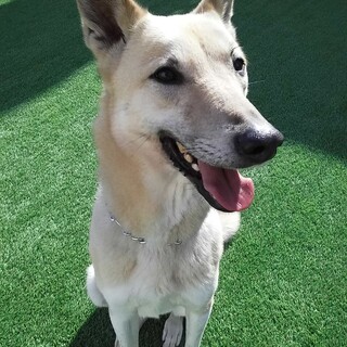 茶次郎、新しい家族が出来ました！