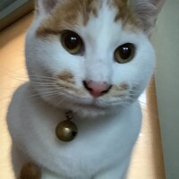 ヤド