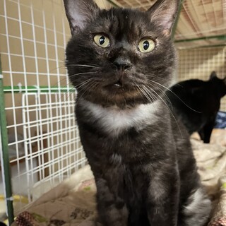 ありがとうございました★甘えん坊の　こんぶくん