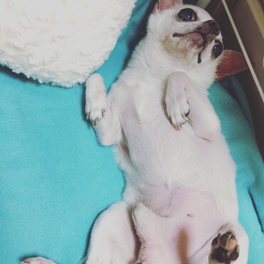 の写真