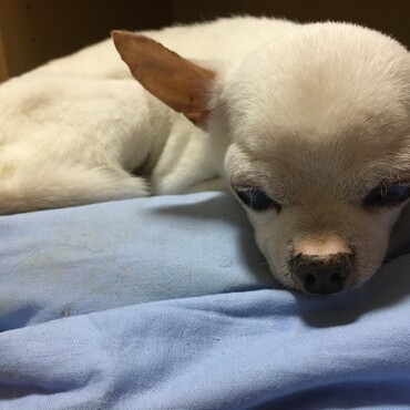 の写真