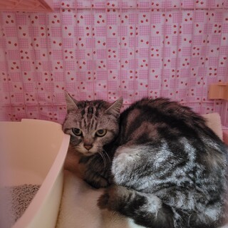 幸せにしてあげて下さい☆