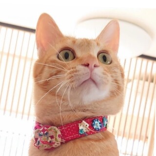 保父の才能発揮☆一平君