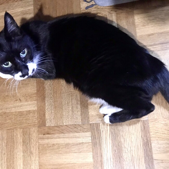 ふくゆみのカバー写真