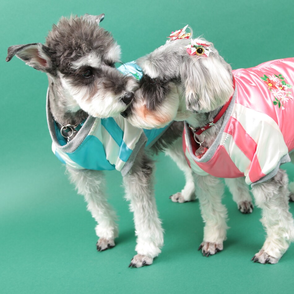 ミーナのカバー写真