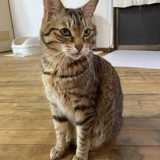 人が大好きな甘えん坊男子