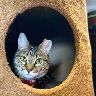 とっても小柄な女の子☆ちい