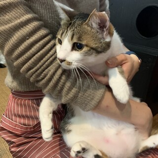 性格◎とても人懐っこい女の子☆みにゃ