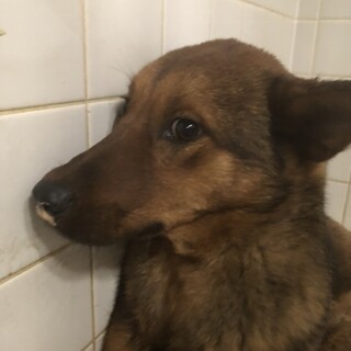 3月18.日金曜日が期限の男の子です