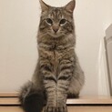 アンソニー