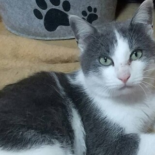 突然現れたサンタ君に家族を