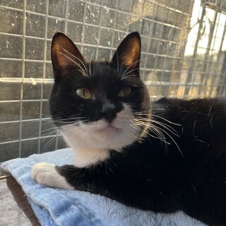 ありがとうございました★スタイル抜群　ゾロちゃん