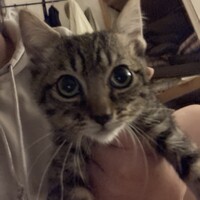 むぎ