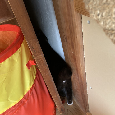 隙間に突入してました。