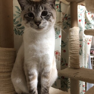 少し人見知りのおっとりな男の子