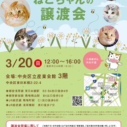 ねこざんまい譲渡会@東日本橋