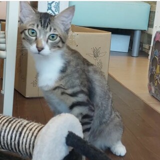 シュッとしたイケメンくるり♂️