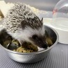まろんさん