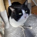 トライアル中です。募集は一旦中止します。