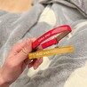猫の首輪を新しくしました