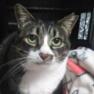 〝ちびちゃん〟です♪