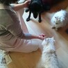 全員長生きしてくれました。ありがたかったです。