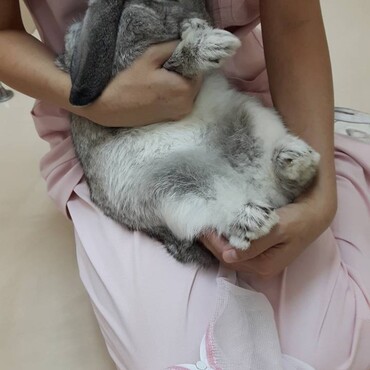 の写真
