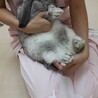 の写真