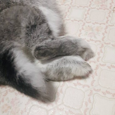 の写真