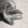 の写真