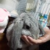の写真