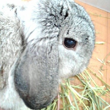 の写真