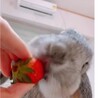 の写真