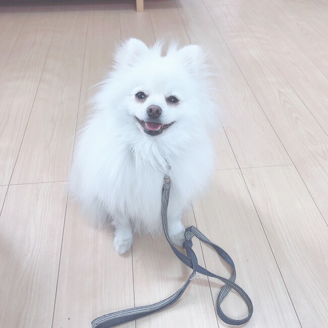 ノアミルクのカバー写真