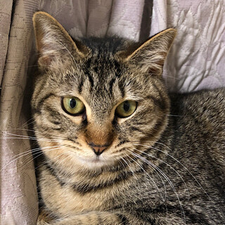 ミルちゃん★少しビビり屋さんかな⁉️ミルちゃん