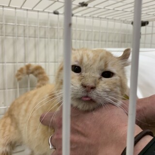 【緊急！】福岡県または近隣県での募集