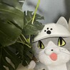 チリー