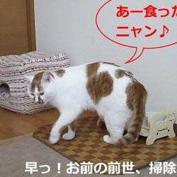 「4号通信 ④ 早食いナンバーワン」サムネイル3