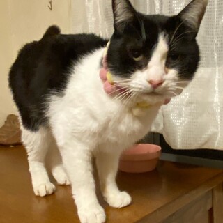 甘えるのが大好きな男の子