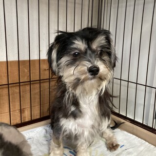 「ひろみ」女の子