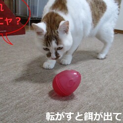 「4号通信③ 仕事中毒？」サムネイル2