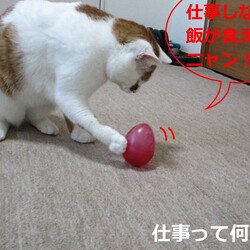 「4号通信③ 仕事中毒？」サムネイル3