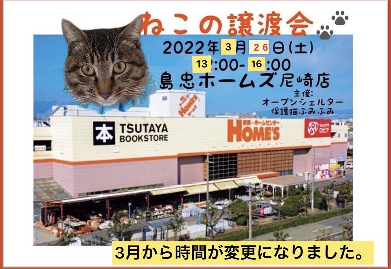 島忠ホームズ尼崎店猫の譲渡会 Teamねこのてのイベント ペットのおうち 月間利用者150万人