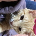 とっても懐っこい男の子です^ - ^