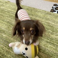 いく