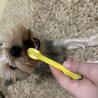Gintaさん無事でよかった。緊急地震速報来る前から地鳴りの音がやばかったです。震災思い出して震えました。体感は震度計以上だと思います。