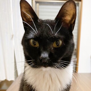 3/20西千葉ෆ⃛少女のように可憐ෆ⃛うたちゃん