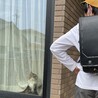 息子の最後のランドセル姿　最後のお出迎え