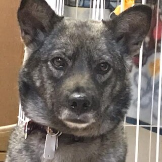 「いぶ」女の子