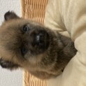なお君里親様決定！